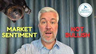 Market Sentiment Indicators Confirm Bearish Phase | August 2024 Update!