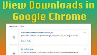 Google Chrome: How to View Downloads