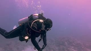 A Special Kind of Intro-Dive with GoDivePH