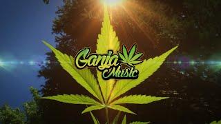 Conkarah - Ganja Love (Jason Derulo & Jawsh 685 - Savage Love Cover)