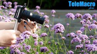 Introducing the Apexel TeleMacro: The Ultimate Telephoto & Macro Lens in One