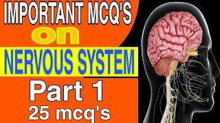 MCQ'S On Nervous System For NTS B-Pharmacy Lab Technician Nursing & Dispenser Exams  | Part 1