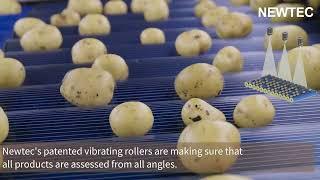 Newtec Celox-P-UHD - Optical Grading of Potatoes