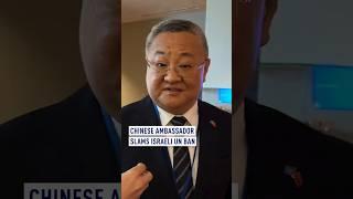 Chinese ambassador slams Israeli UN ban