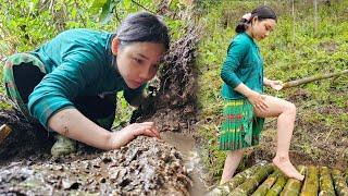 The girl alone went through hardships to find water - green forest life | Hoang Thi Mai