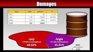 Informational Legal Graphics