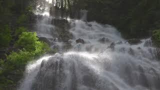 BRIDAL VEIL FALLS: THE MIRACLE / SPA MUSIC, WELLNESS MUSIC, YOGA MUSIC, HEALING MUSIC, ZEN MUSIC