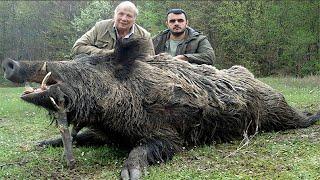 The Thrilling Chase: Wild Boar Hunting in the Cornfields