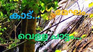  Experience tranquil forests and waterfalls with "കാട്ടിലേക്ക് പോകുന്നു ഞാൻ" music. Nature heals. 