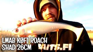 LMAB KØFI ROACH SHAD 26CM - ISO SHÄDI HAUEN UISTELUUN