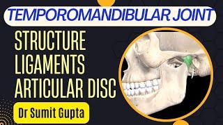 TEMPOROMANDIBULAR JOINT : Structure and anatomy of temporomandibular joint ligaments