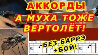 А МУХА ТОЖЕ ВЕРТОЛЕТ Аккорды  БЕЗ БАРРЭ  Разбор песни на гитаре  Гитарный бой для начинающих