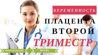 Второй триместр беременности. 4 месяц беременности. Значение плаценты.