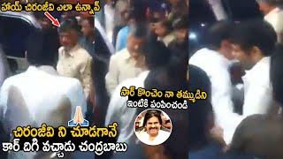 See Chandrababu Reaction After Seeing Chiranjeevi At Wedding | Pawan Kalyan | Telugu Cinema Brother