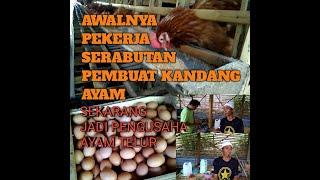 awalnya pekerja serabutan, sekarang jadi pengusaha ternak ayam telur!!!