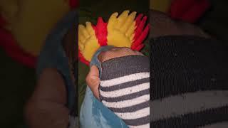 Rubbing | Pokemon Typhlosion #asmr #furry #plush #plushies #pokemon #typhlosion