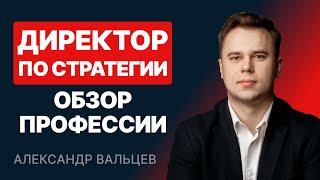 Директор по стратегии. Обзор профессии