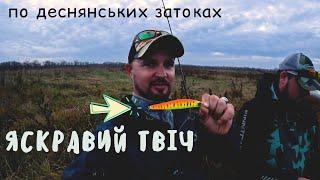 ОДИН ВОБЛЕР ЗЛОВИВ ВСЮ ЩУКУ. Твічинг на затоці Десни в листопаді