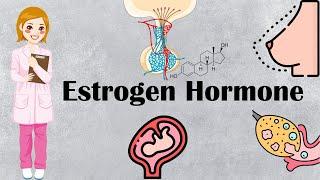 Estrogen Hormone - The Principal Sex Hormone In Females - Types, Production, Functions In Females