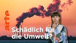 Welche Rohstoffe schaden der Umwelt am meisten? | Facts For Future | ARTE