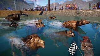 Animals Swimming Race Included Mammoth, Elephant, Pig, Cow, Donkey, Horse, Tapir, Camel, and Panda