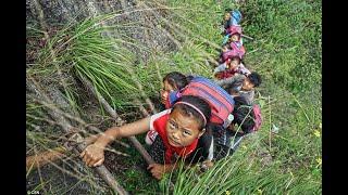 Kids Climb Unsecured Rattan Ladders Before They Get Home From School