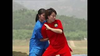 Chinese Wushu Duanwei System Presentation