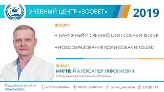 А. Н. Мирный в УЦ «Зоовет» | Отит собак и кошек, новообразования кожи, ч. 1