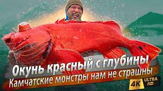  All the kinds of sea fish of Kamchatka in two days! Where to fish and how to catch?