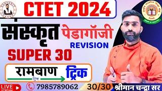 CTET JULY  2024 |Gadyansh + Pedagogy Revision |SANSKRIT CHANDRA CTET PEDAGOGY JULY 2O24