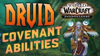 ALL DRUID COVENANT ABILITIES - World of Warcraft Shadowlands Alpha