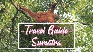 JUNGLE TREKKING IN SUMATRA TO SEE ORANGUTANS | OUR TRAVEL GUIDE