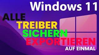 Installierte Treiber sichern, exportieren auf einmal unter Windows 11