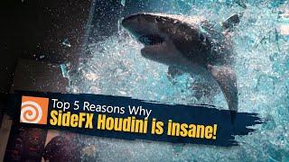 Why SideFX Houdini is absolutely insane!