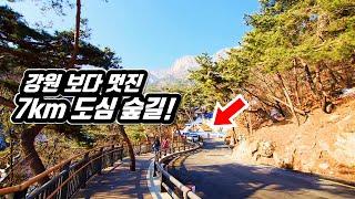  등산 초보도 5분이면 도착!  강원도 안부러운 도심 속 '7km' 숲길 여행 |  대중교통 당일치기 | 트레킹 | Downtown Forest Trekking in KOREA