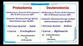 Difference between protostomes and deuterostomes ||