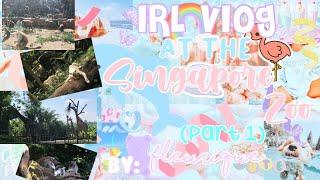 ꒰꒱ IRL vlog at the Singapore Zoo (part 1) ⋅ʚɞ⋅  fleurinq