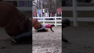 Stop Drop & Roll ‍️#horse #oops #fail