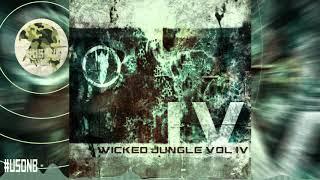 Salacious Krum - Visions [Wicked Jungle][#USDNB Premiere!]