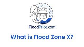 What is Flood Zone X?