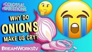 Why Do Onions Make Us Cry? | COLOSSAL QUESTIONS | Learn #withme