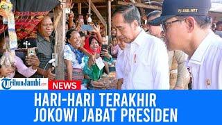 Hari-Hari Terakhir Jokowi Jabat Presiden: Cek Harga Sembako Di Pasar Alor NTT Hingga Sapa Warga