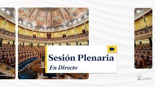 Sesión Plenaria (con traducción y subtitulado) - 19/12/2024