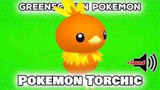 Pokemon Torchic | GreenScreen | Pokémon GO | POGO