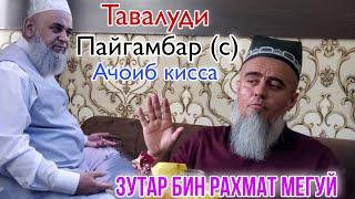 Домулло Абдурахим Тавалуди Пайгамбар (с) Зутар бин Рахмат мегуй