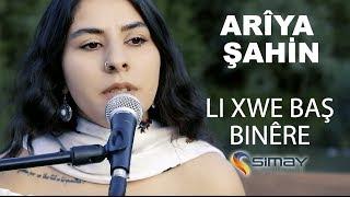 Ariya Şahin - Li Xwe Baş Binêre (Akustik Performans)