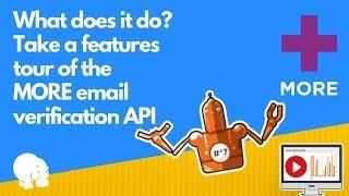 Explore the features of the MORE email verification API