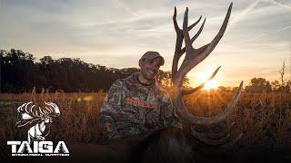 Trophy Red Stag, Fallow Deer & Mouflon Hunting in Poland