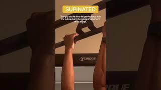 3 Different Types of Pull-Ups and their Benefits