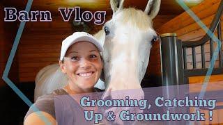 BARN VLOG // Grooming, Chores, Catching Up & Groundwork //  Sponsored by Quikkast